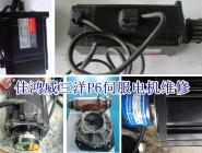 SANYO P6 servo motor maintenance